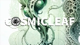 Обложка клипа World of fungi