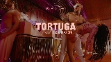 Обложка клипа Tortuga