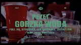 Обложка клипа Gorzka woda - Remix