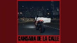 Обложка клипа Cansada De La Calle