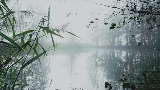 Обложка клипа reverie