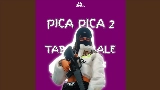 Обложка клипа DJ Pica Pica 2 X Tabola Bale
