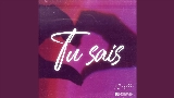 Обложка клипа Tu sais