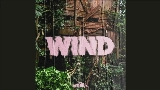 Обложка клипа Wind