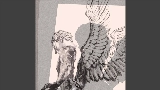 Обложка клипа Fallen Angel